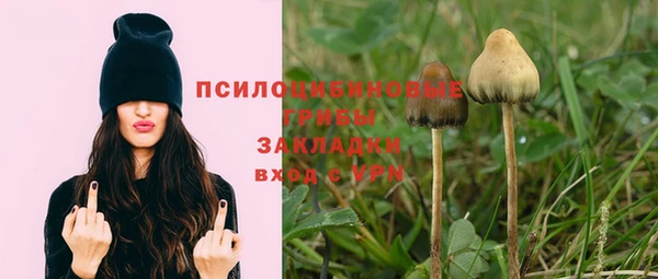 спиды Володарск