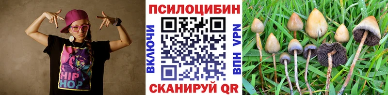 Псилоцибиновые грибы GOLDEN TEACHER  где купить наркоту  Вытегра 